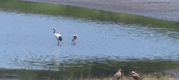 画像に alt 属性が指定されていません。ファイル名: 2eb909b3272b9b82403ccbd1cf54c4b2-604x270-2.jpg